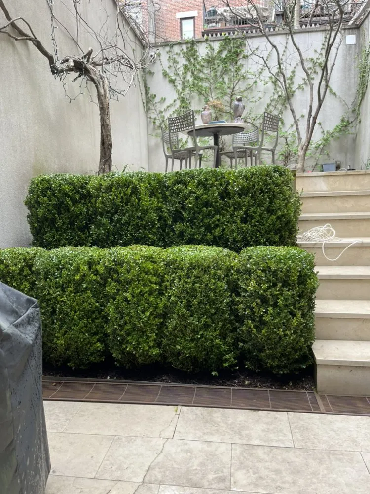 Trusted landscaping services in Elmont, NY by MG Landscaping