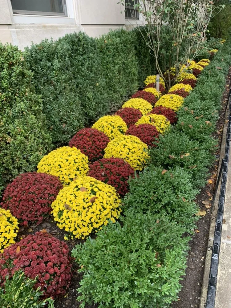 Trusted landscape design in Elmont, NY by MG Landscaping