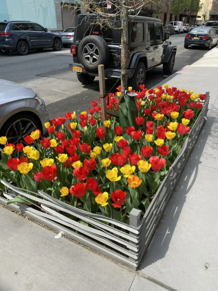 Affordable garden landscaping in Elmont, NY - MG Landscaping