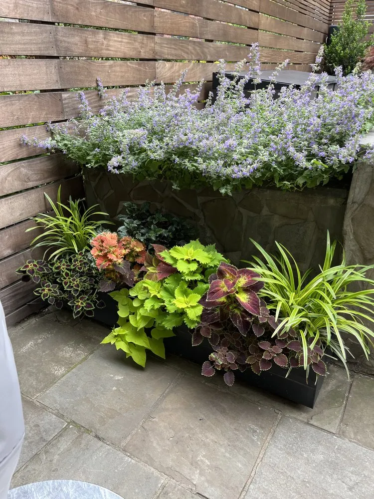 Reliable landscaping services near you across Elmont, NY - MG Landscaping