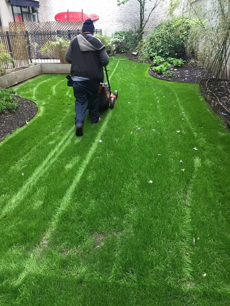 Professional yard cleanup service for beautiful yards in Elmont, NY by MG Landscaping