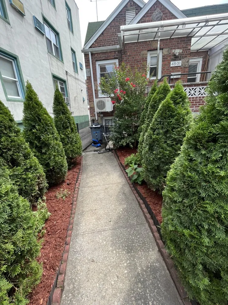 Affordable yard cleanup service near you across Elmont, NY - MG Landscaping