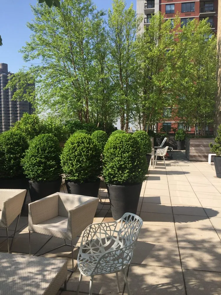 Custom lawn care service in Elmont, NY by MG Landscaping