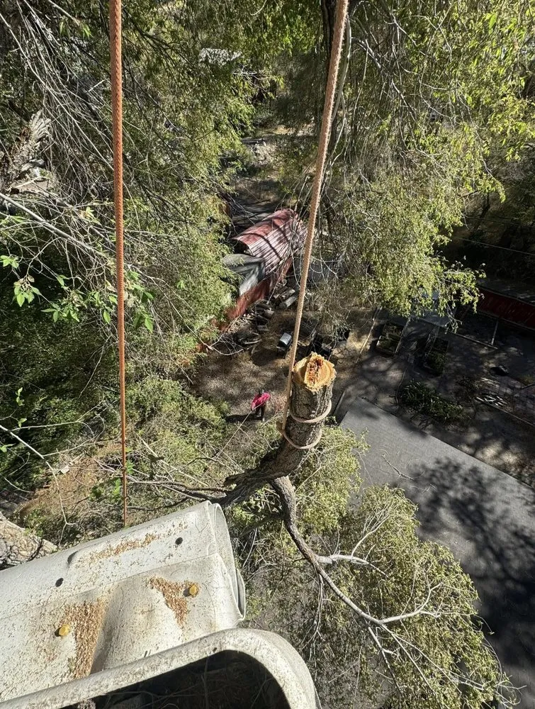 Expert outdoor landscaping in Kansas City, KS by M&G LandScaping