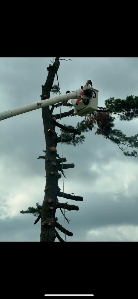 Trusted lawn care service in Kansas City, KS by M&G LandScaping