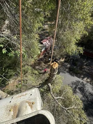 M&G LandScaping Logo