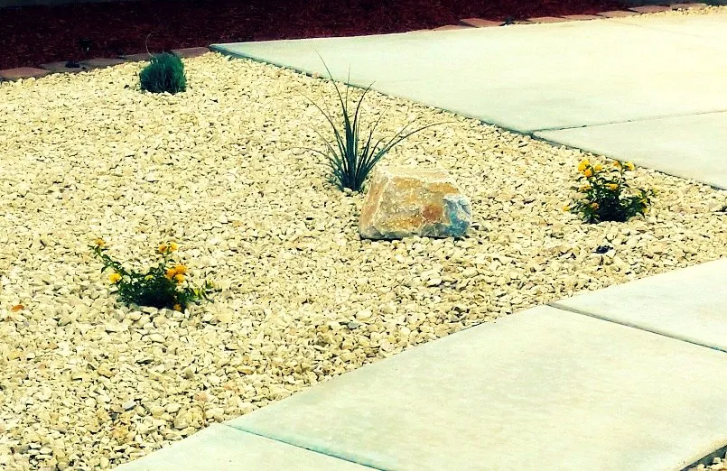 Local yard cleanup service for year-round maintenance in Lancaster, CA by MG Landscaping