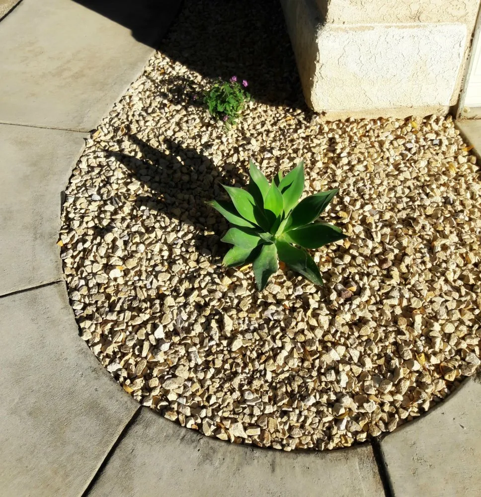 Top-rated garden landscaping in Lancaster, CA - MG Landscaping