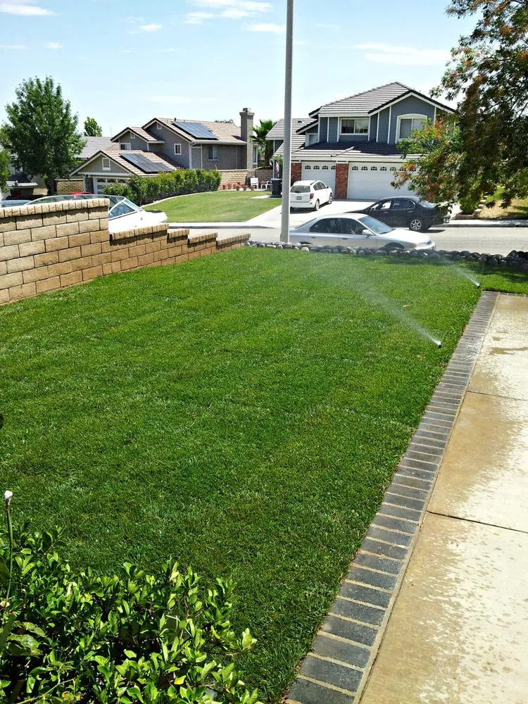 Custom landscape design in Lancaster, CA by MG Landscaping