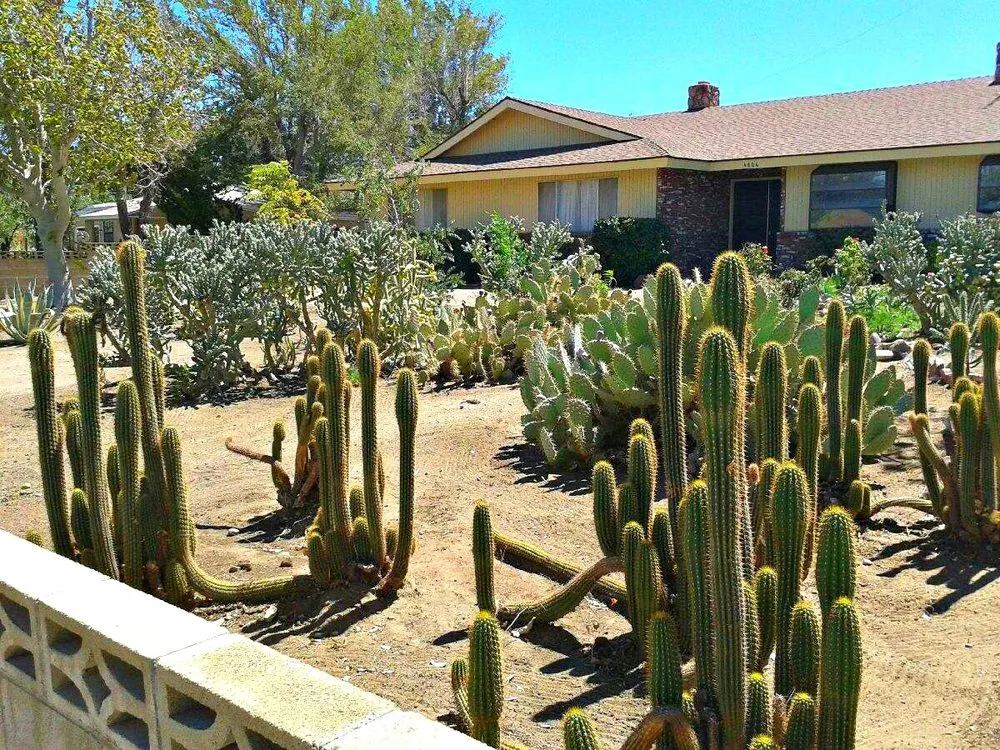 Affordable lawn mowing service for outdoor upgrades across Lancaster, CA - MG Landscaping