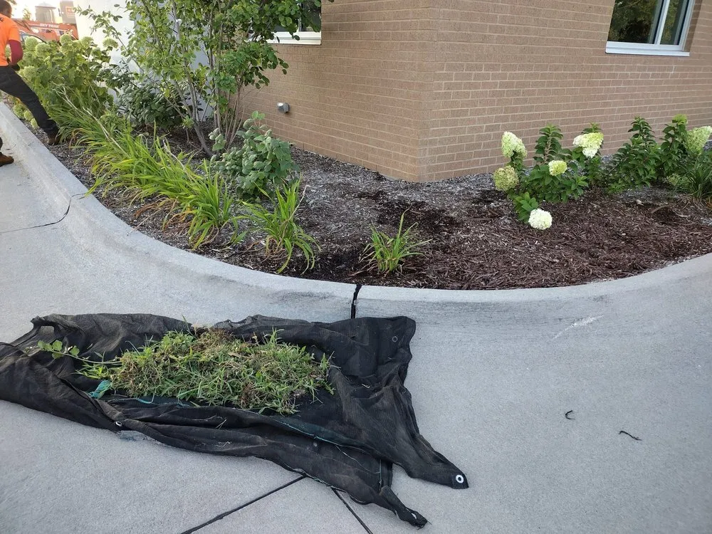 Top-rated landscaping services in Moline, IL by MG Landscaping