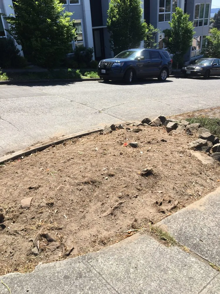 Expert lawn care service near you across Seatac, WA - Mg Landscaping