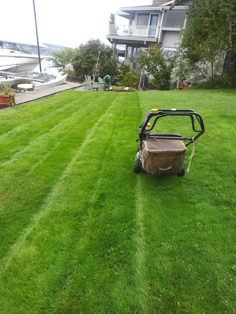 Top-rated outdoor landscaping experts serving Seatac, WA - Mg Landscaping