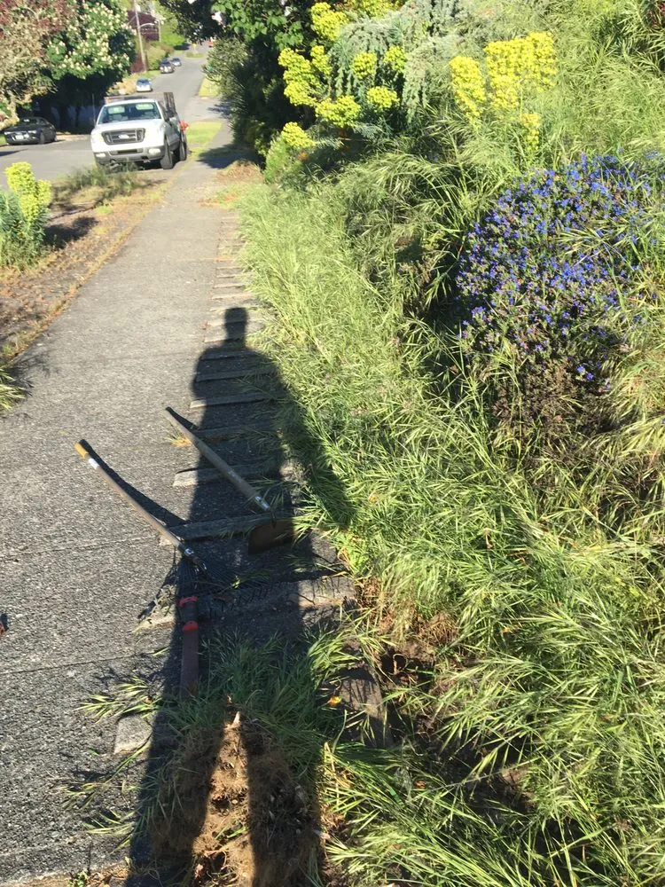 Top-rated landscape installation for residential properties across Seatac, WA - Mg Landscaping