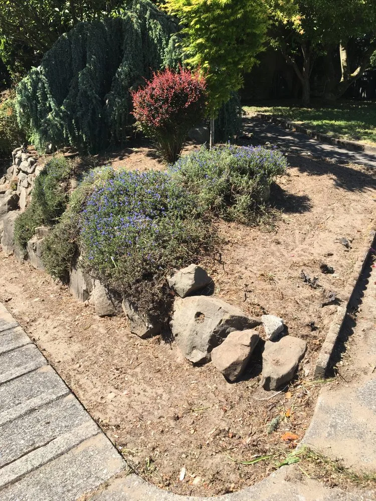 Expert lawn mowing service for outdoor upgrades in Seatac, WA by Mg Landscaping