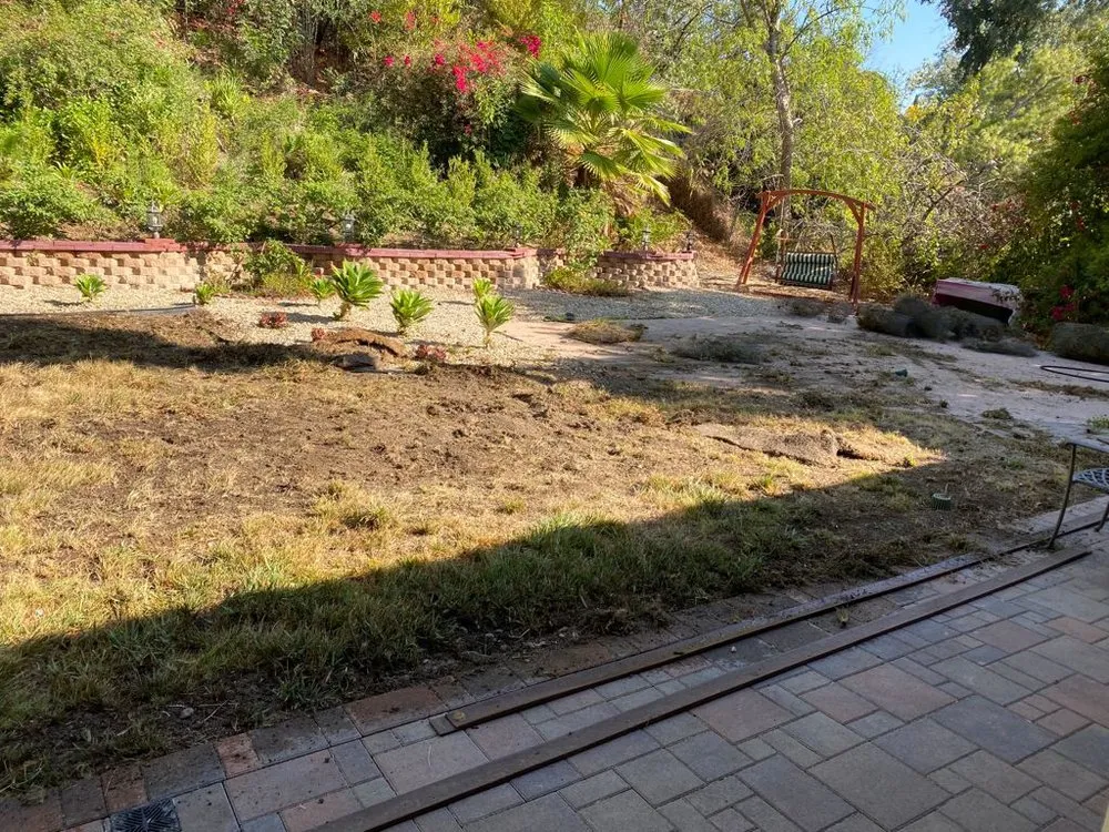 Expert lawn mowing service in Los Angeles, CA - MG Lanscaping