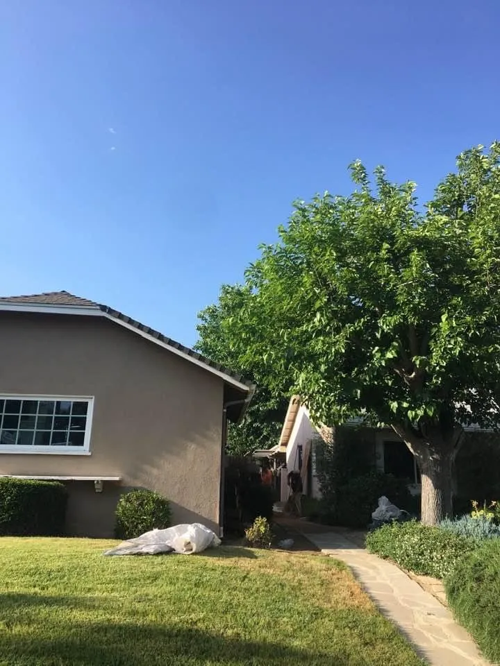 Expert residential landscaping in Los Angeles, CA by MG Lanscaping