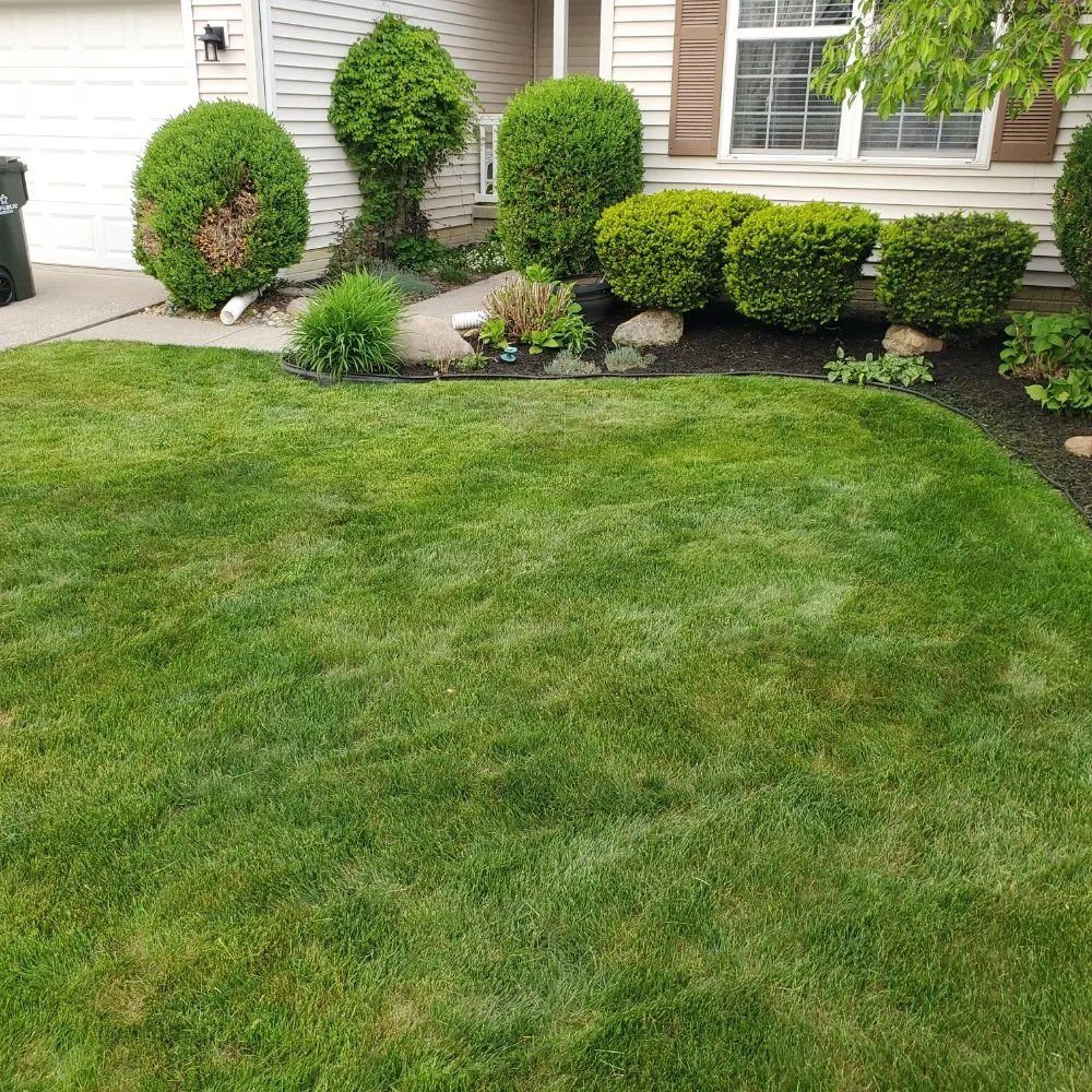 Trusted landscaping services experts serving Elyria, OH - M&G Lawn Care & More