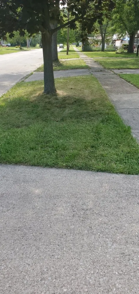 Custom lawn care service in Elyria, OH - M&G Lawn Care & More