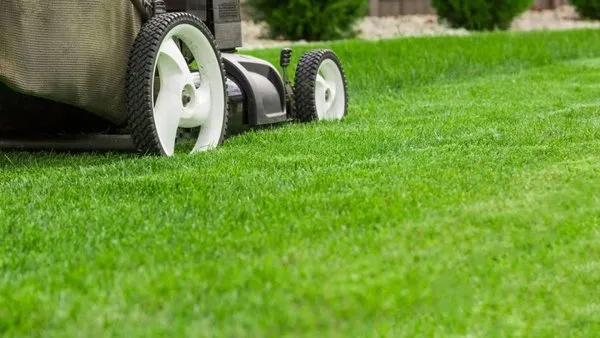 M&G lawn care and more Logo