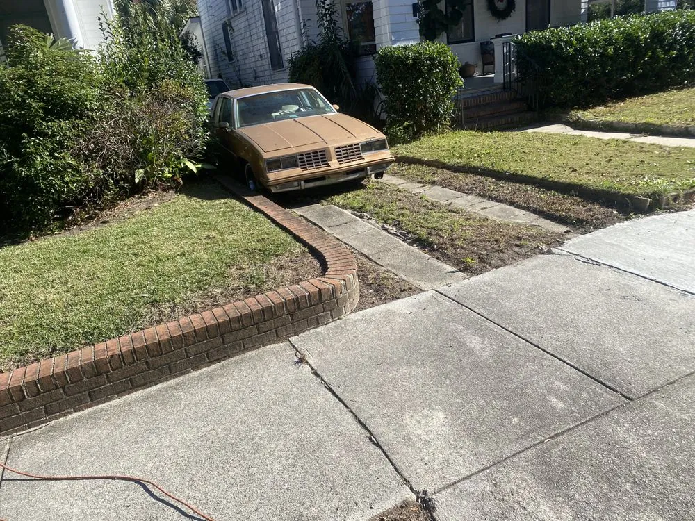 Expert yard cleanup service in Ladson, SC by Mg lawn care pros