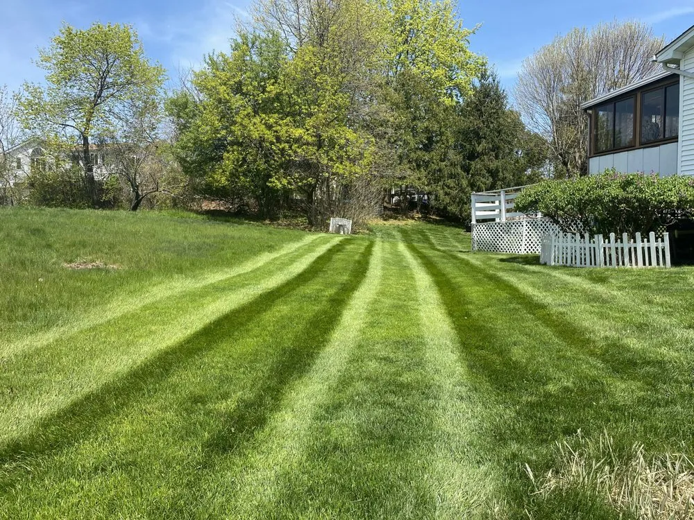 Custom yard cleanup service near you across Oakland, NJ - MG Lawncare & Power Washing