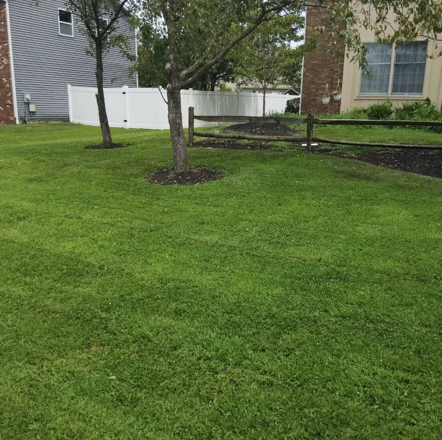 Custom landscape design for outdoor upgrades in Philadelphia, PA by MG Lawncare Services