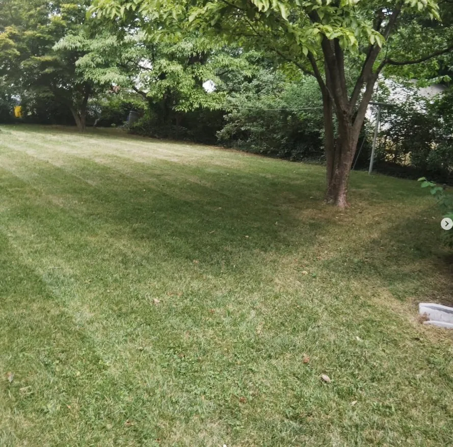 Local landscaping services for homes across Philadelphia, PA - MG Lawncare Services