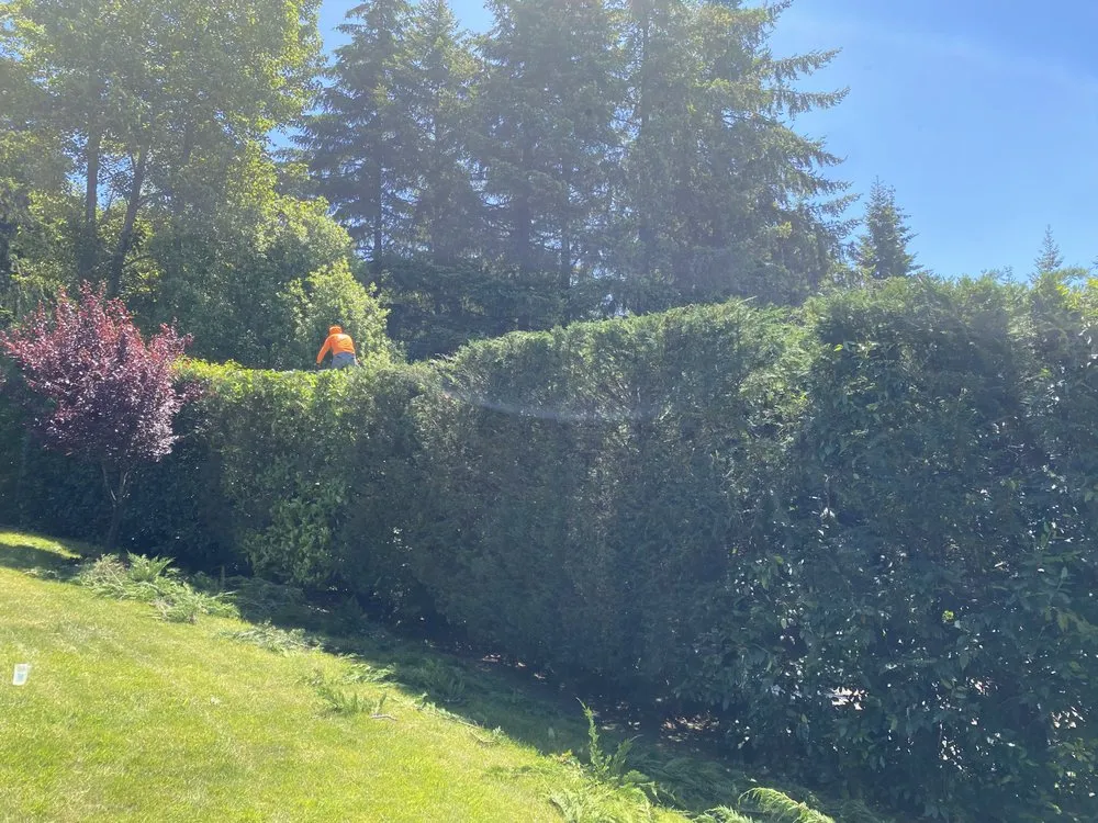 Local residential landscaping experts serving Vancouver, WA - Mg Mauro lanscaping