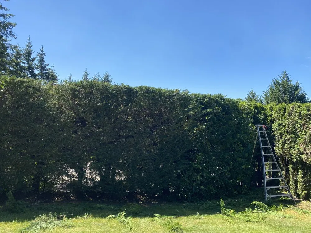 Affordable landscaping services experts serving Vancouver, WA - Mg Mauro lanscaping