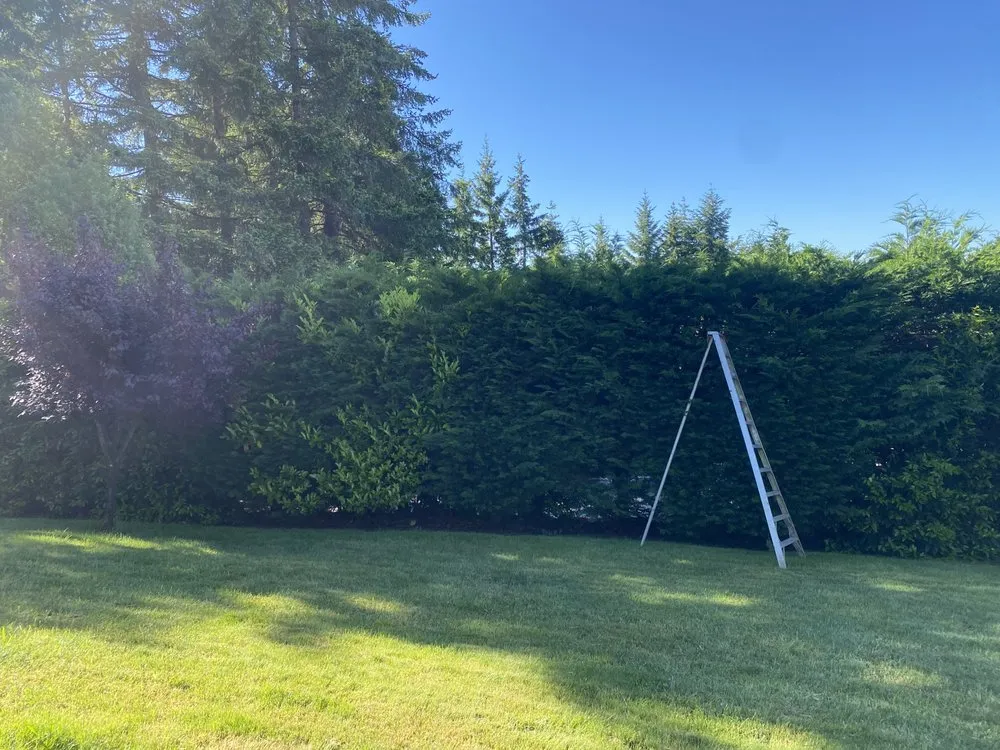 Top-rated lawn mowing service in Vancouver, WA - Mg Mauro lanscaping