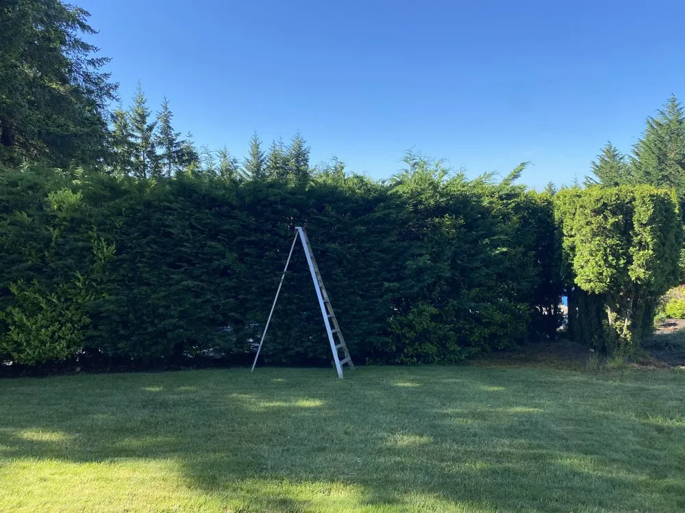 Professional landscape design near you in Vancouver, WA by Mg Mauro lanscaping