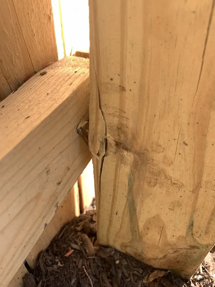 Local yard maintenance in Bound Brook, NJ by M&G Mora's Landscaping & More