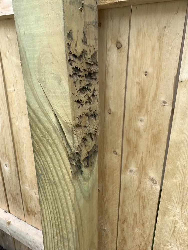 Expert outdoor landscaping for homes across Bound Brook, NJ - M&G Mora's Landscaping & More