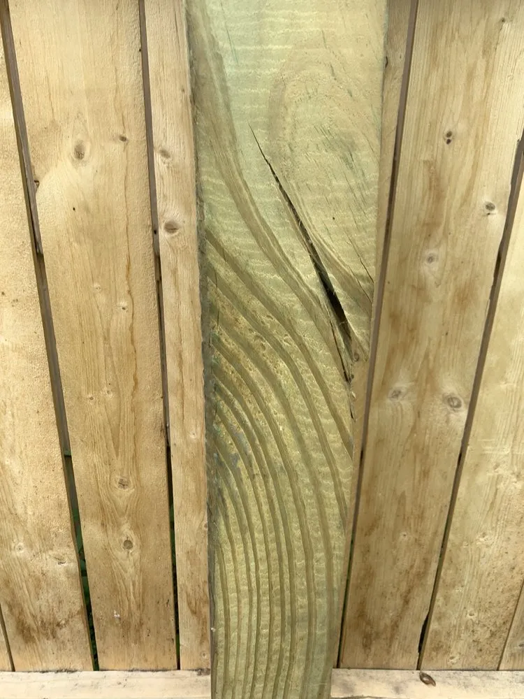 Trusted yard cleanup service experts serving Bound Brook, NJ - M&G Mora's Landscaping & More