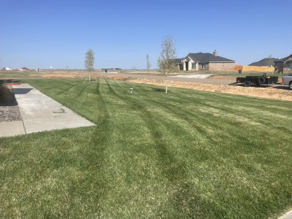 Professional yard cleanup service near you in Amarillo, TX by MG Mowing