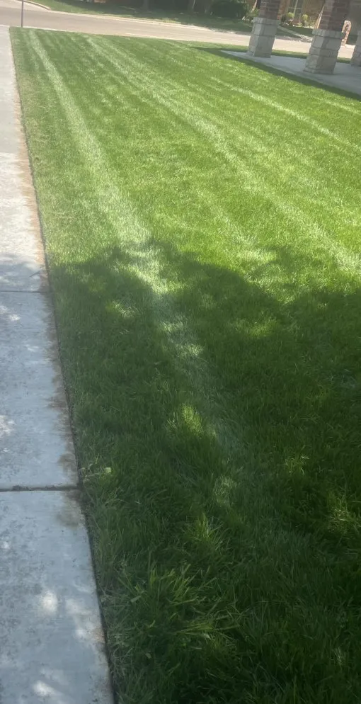 Top-rated outdoor landscaping in Amarillo, TX - MG Mowing