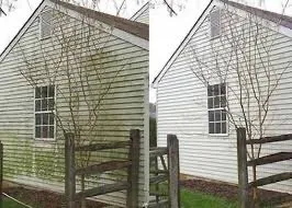 Local landscape design in Toms River, NJ by MG Pressure Washing & Landscaping