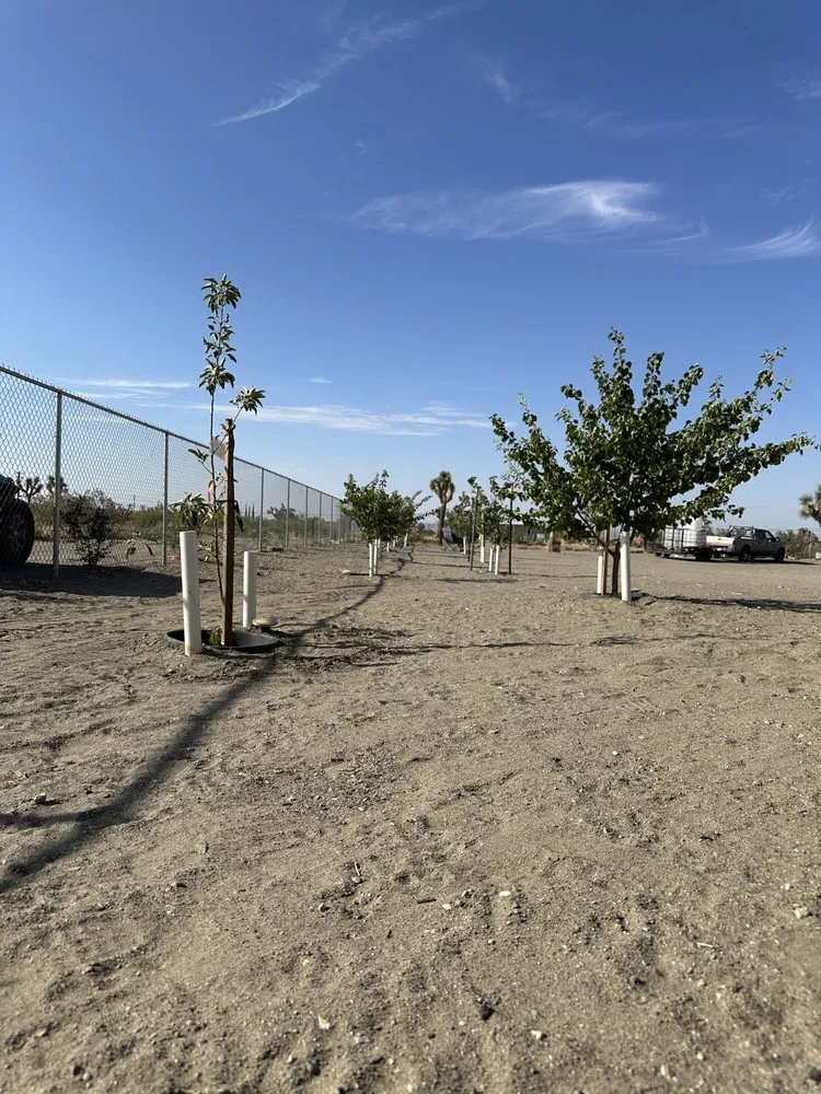 Local landscape design in Phelan, CA - MG Quality Handyman