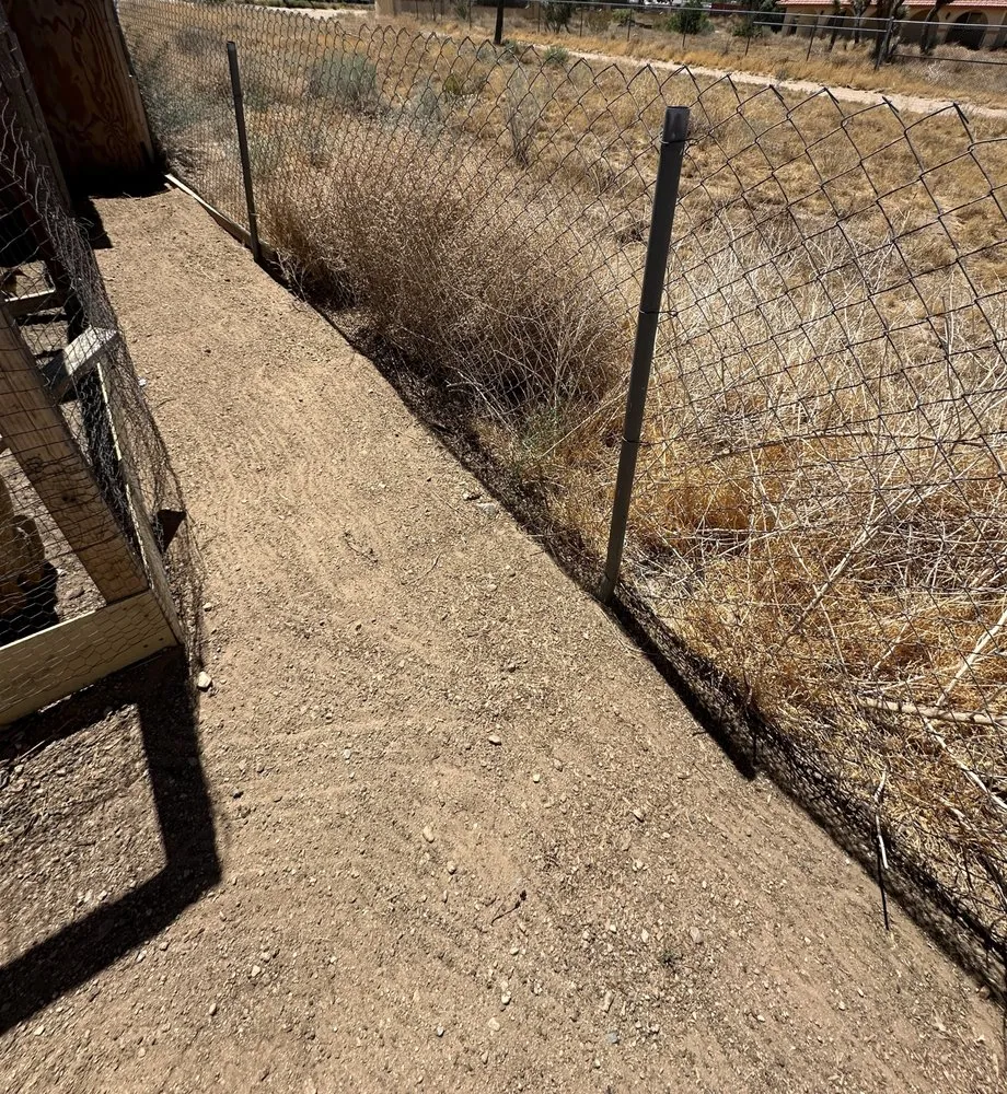 Reliable lawn mowing service for residential properties across Phelan, CA - MG Quality Handyman