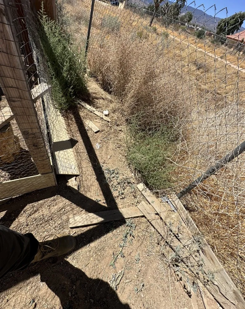 Trusted outdoor landscaping in Phelan, CA by MG Quality Handyman