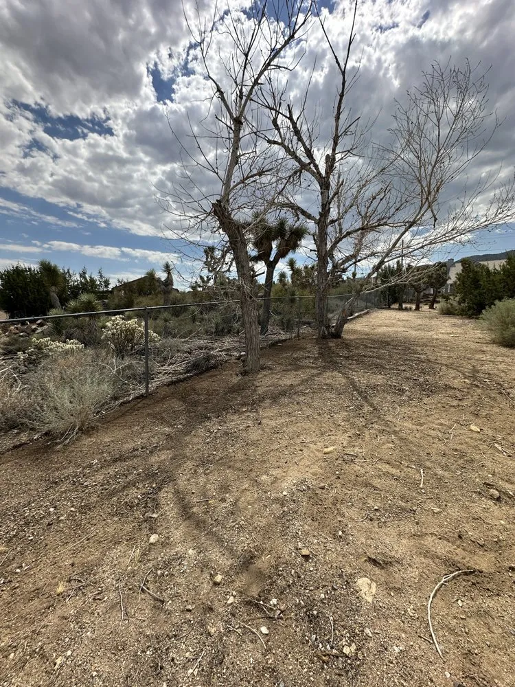 Trusted landscape design for residential properties across Phelan, CA - MG Quality Handyman