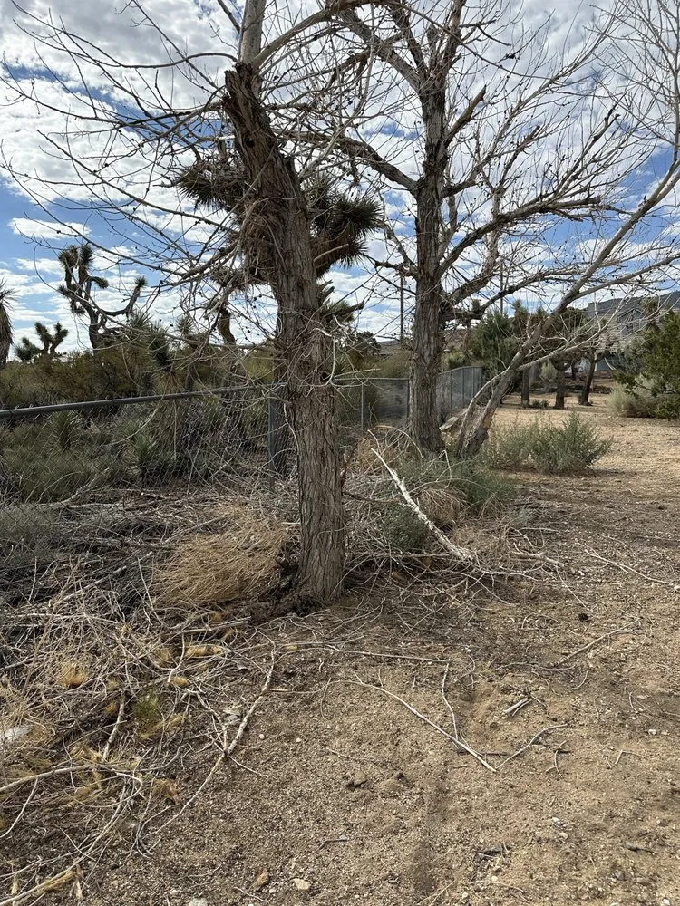 Custom yard maintenance for outdoor upgrades across Phelan, CA - MG Quality Handyman