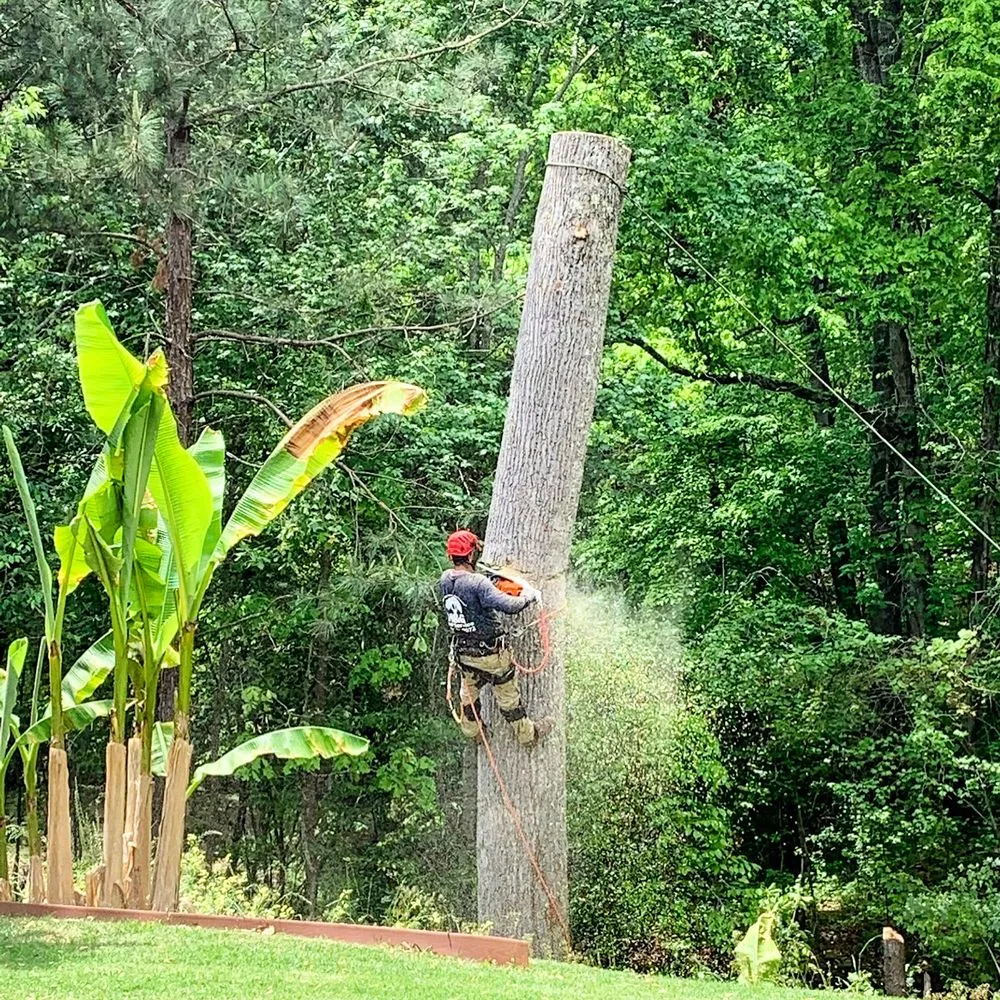 Custom landscape design in Lawrenceville, GA - M&G Tree Service