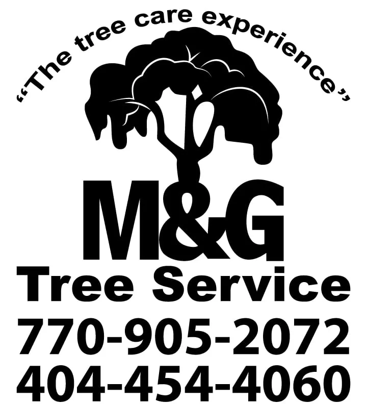 Trusted lawn care service for homes in Lawrenceville, GA by M&G Tree Service