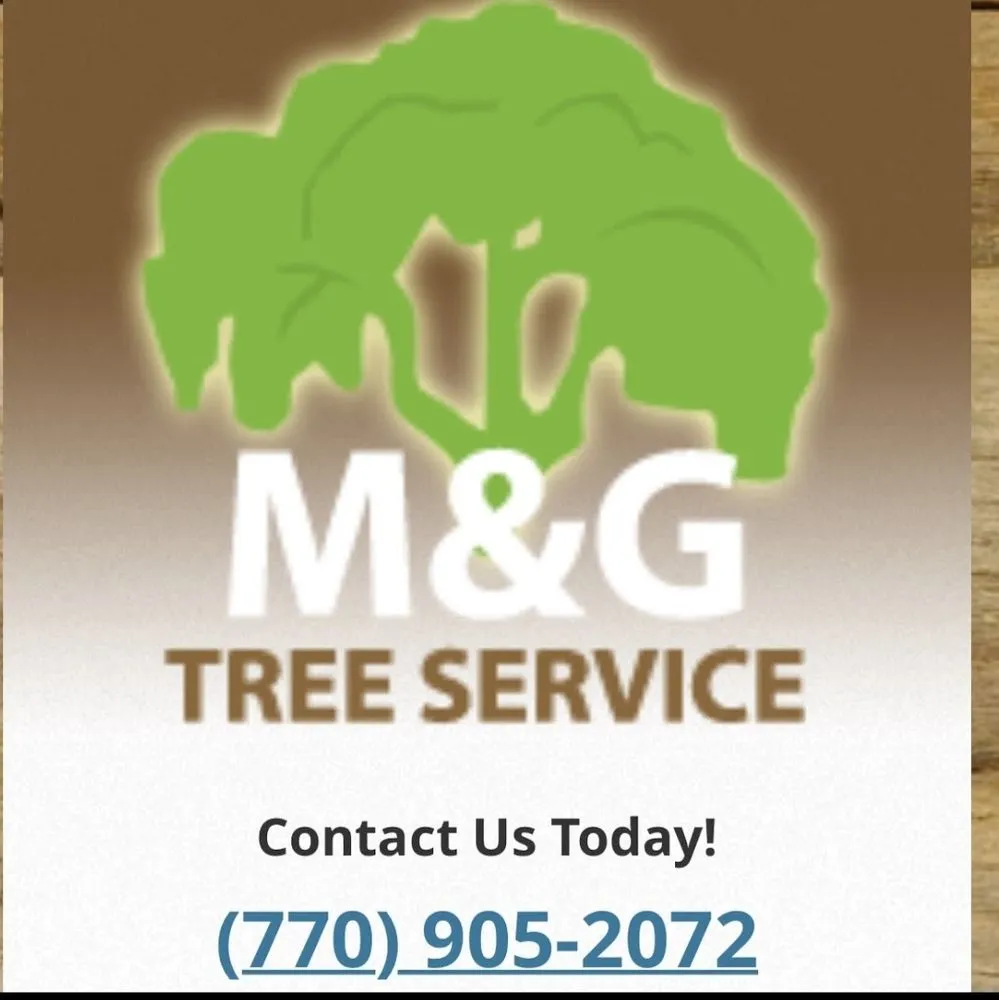Local yard cleanup service for outdoor upgrades in Lawrenceville, GA by M&G Tree Service