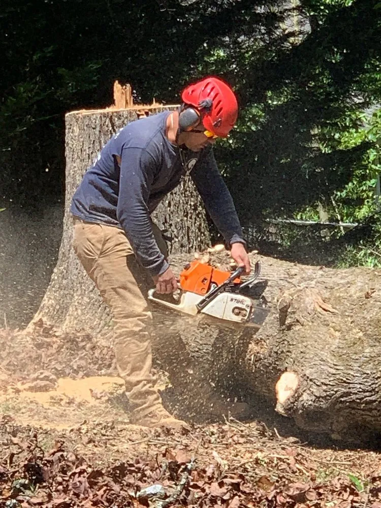 Affordable landscape installation for beautiful yards in Lawrenceville, GA by M&G Tree Service
