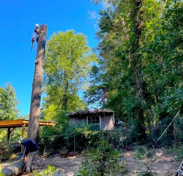 Local lawn care service in Lawrenceville, GA by M&G Tree Service