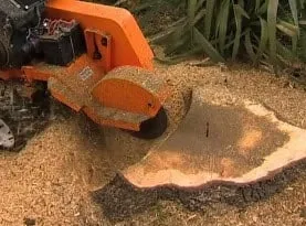 Affordable landscape installation near you in Lawrenceville, GA by M&G Tree Service