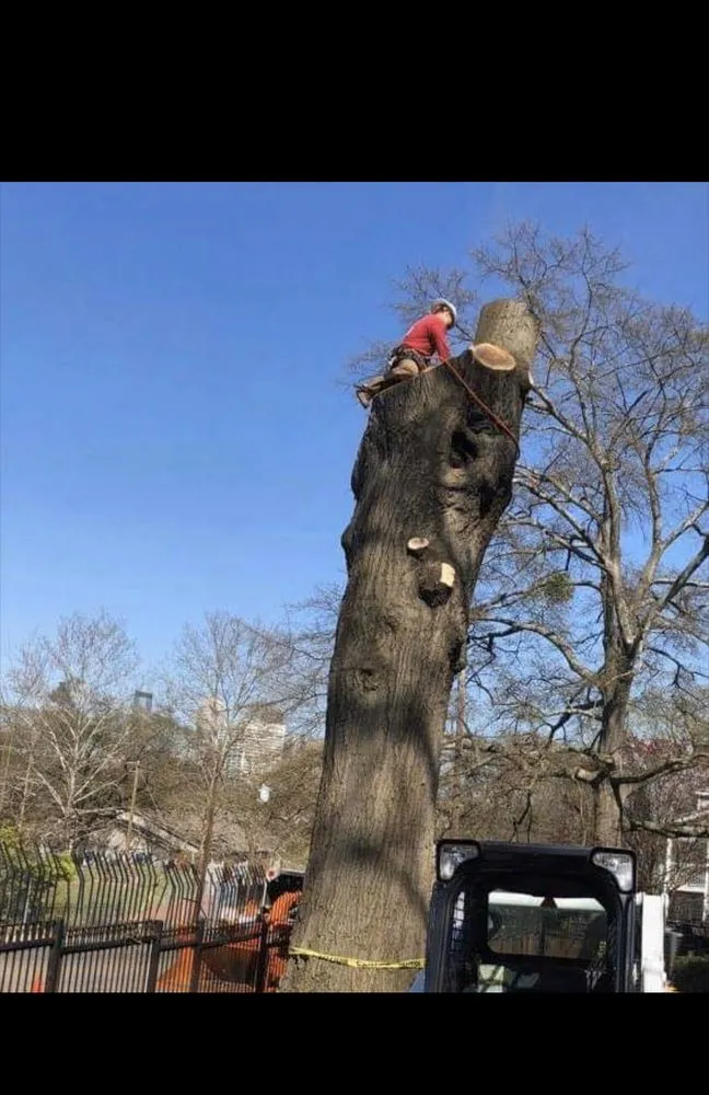 Local yard cleanup service in Lawrenceville, GA by M&G Tree Service